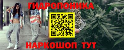 гидра Будённовск